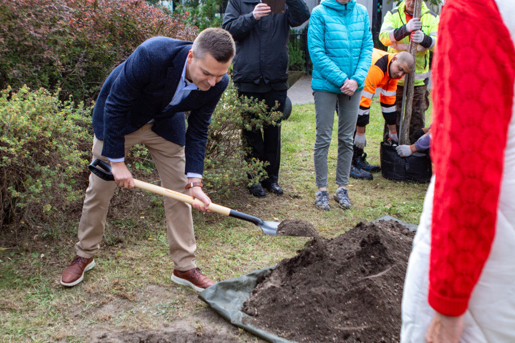 Rada Seniorów posadziła swój Dąb 