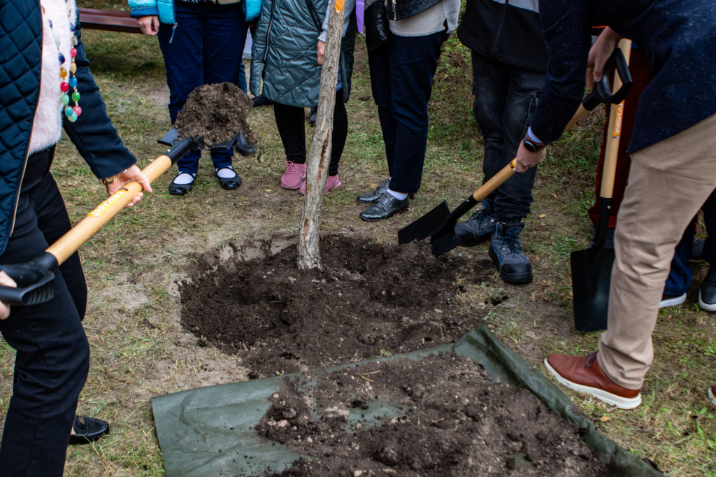Rada Seniorów posadziła swój Dąb 