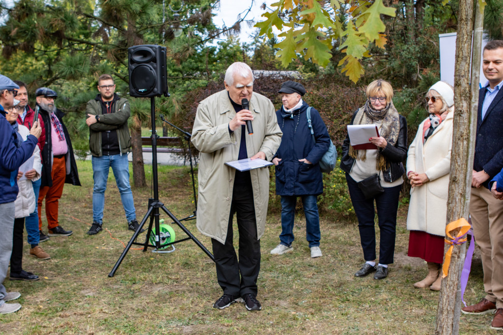 Rada Seniorów posadziła swój Dąb 