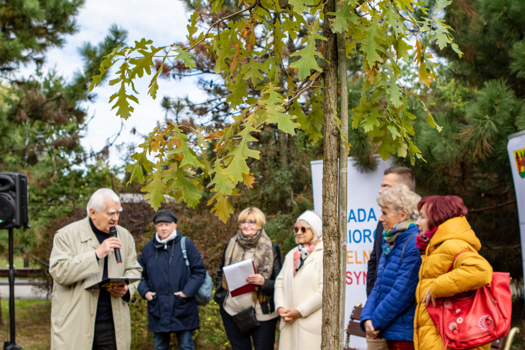 Rada Seniorów posadziła swój Dąb 