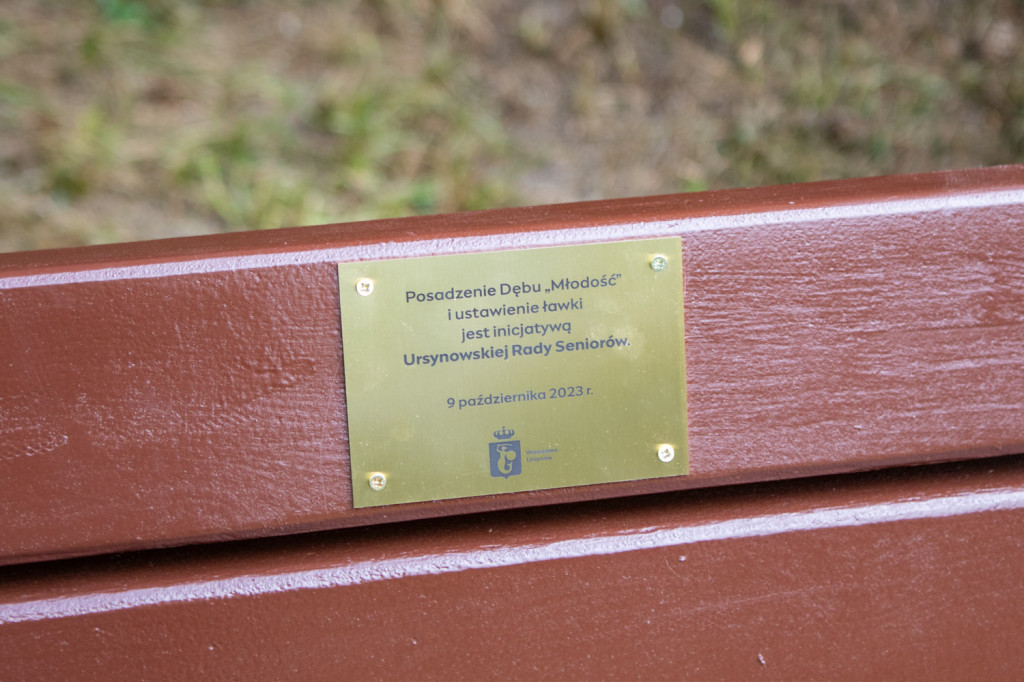 Rada Seniorów posadziła swój Dąb 