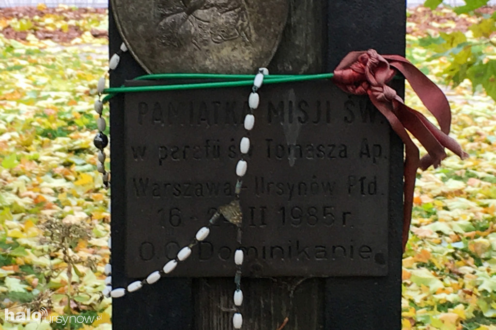 Platan z Ursynowa
