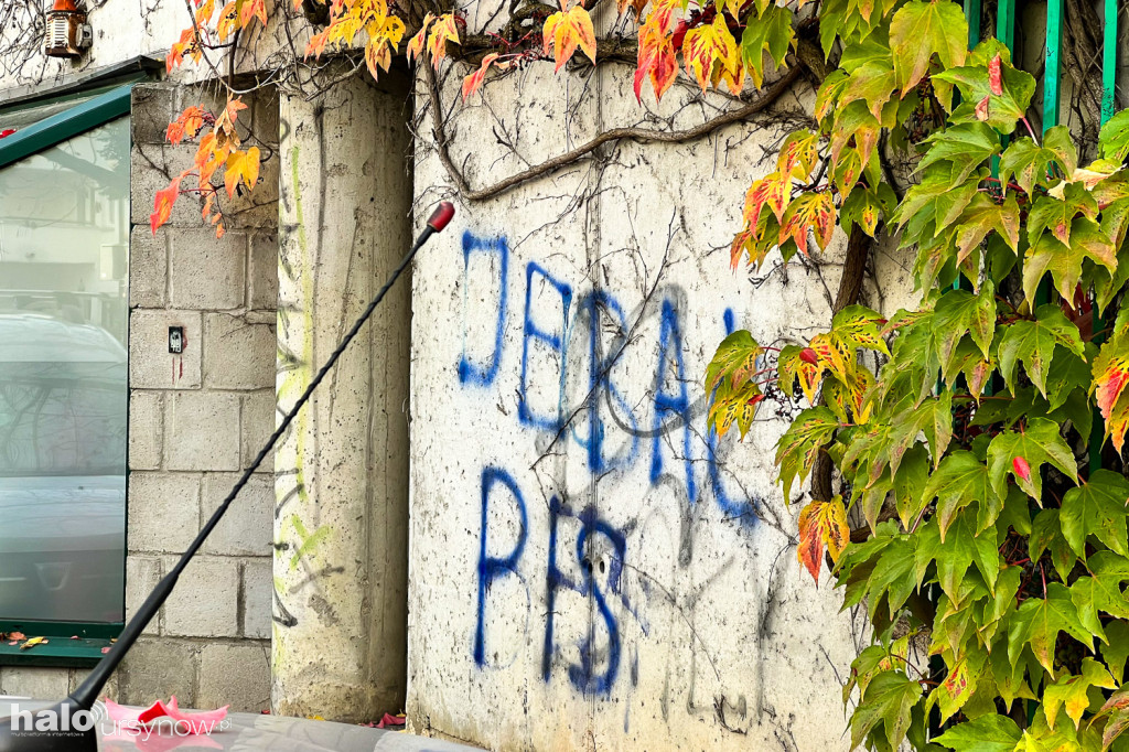 Najbardziej instagramowe miejsce na Ursynowie!