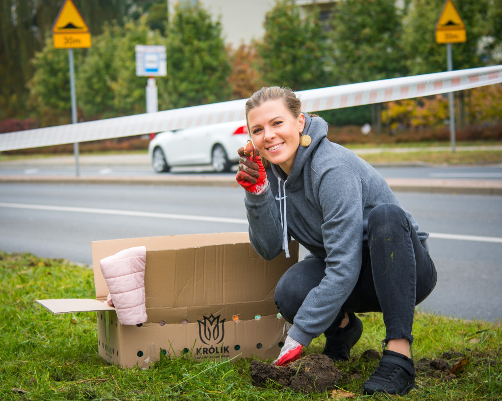 Tulipany zakwitną przy Onkologii