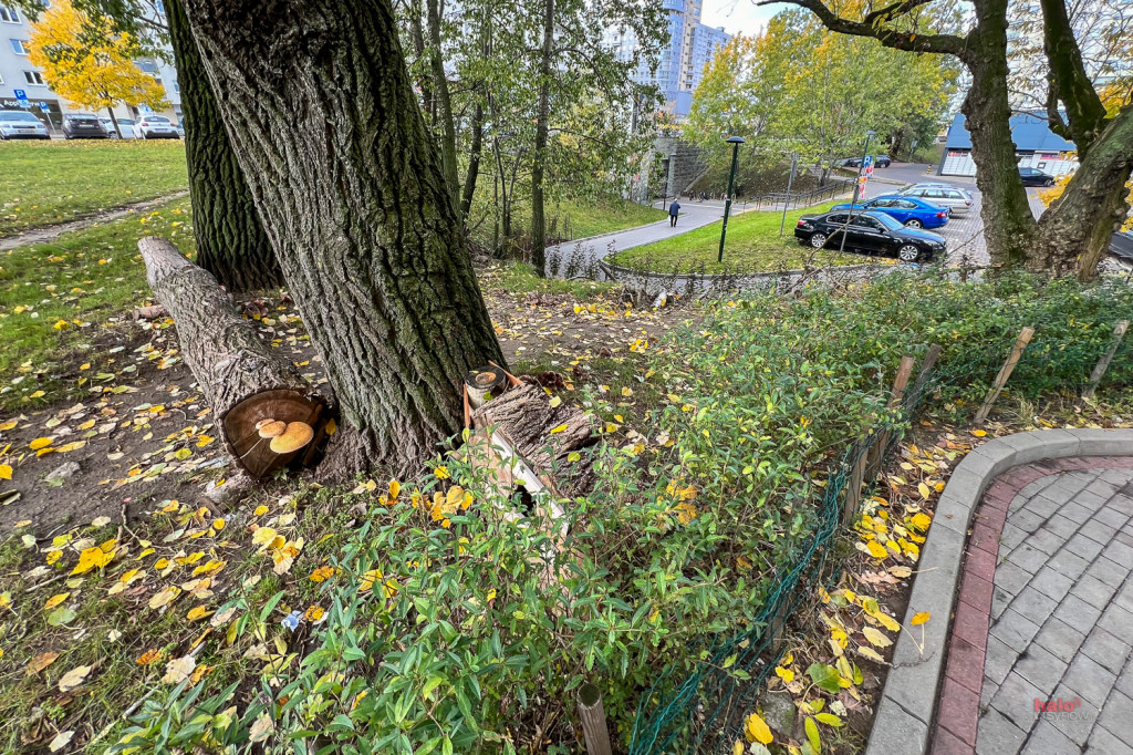 Skarpa przy metrze zyskała nowe oblicze