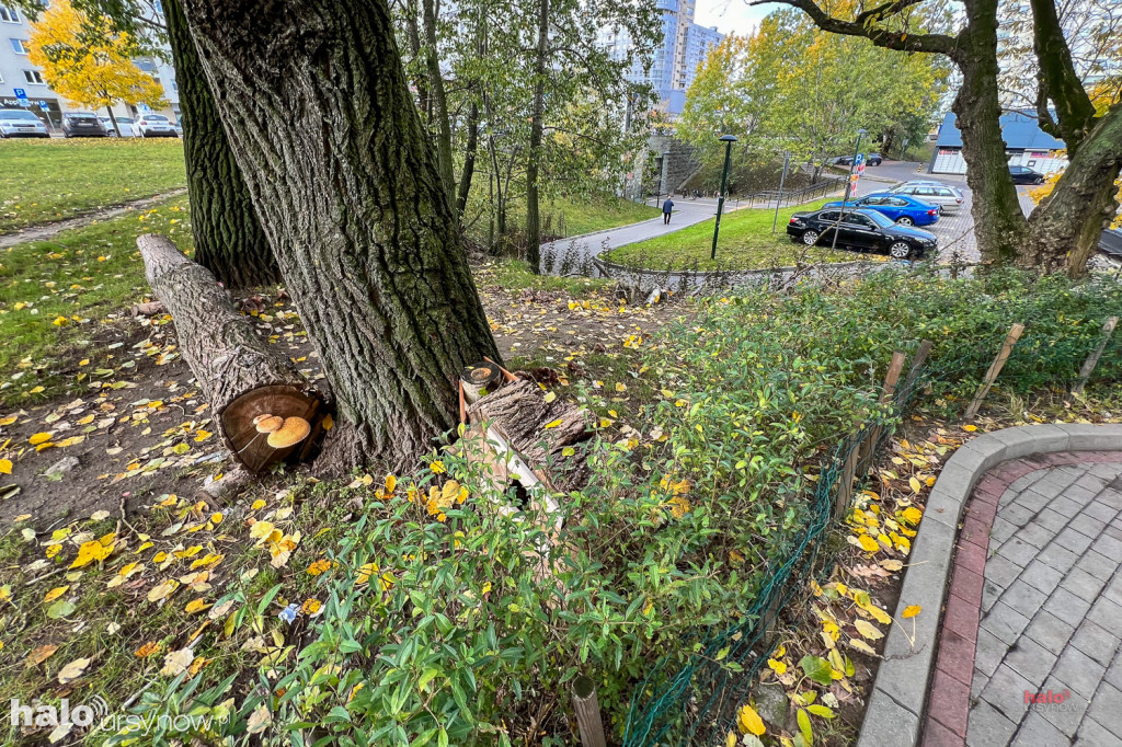Skarpa przy metrze zyskała nowe oblicze