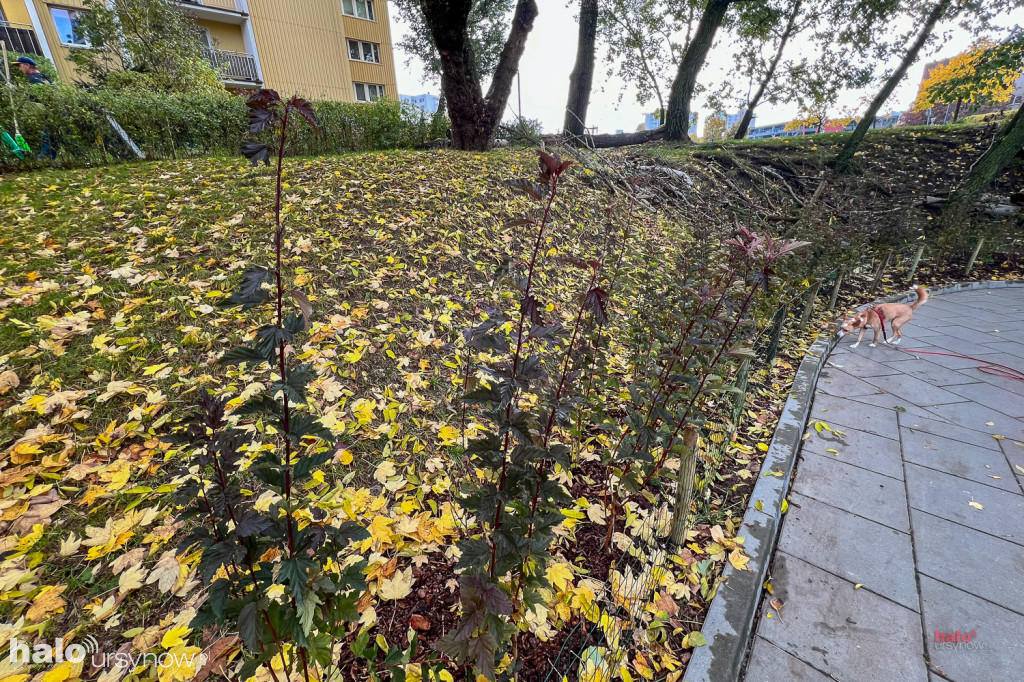 Skarpa przy metrze zyskała nowe oblicze