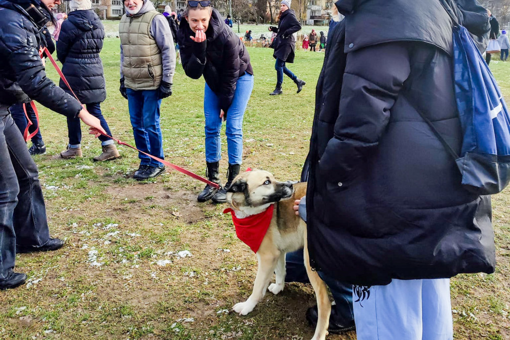 Andrzejki z Paluchem na Kopie Cwila