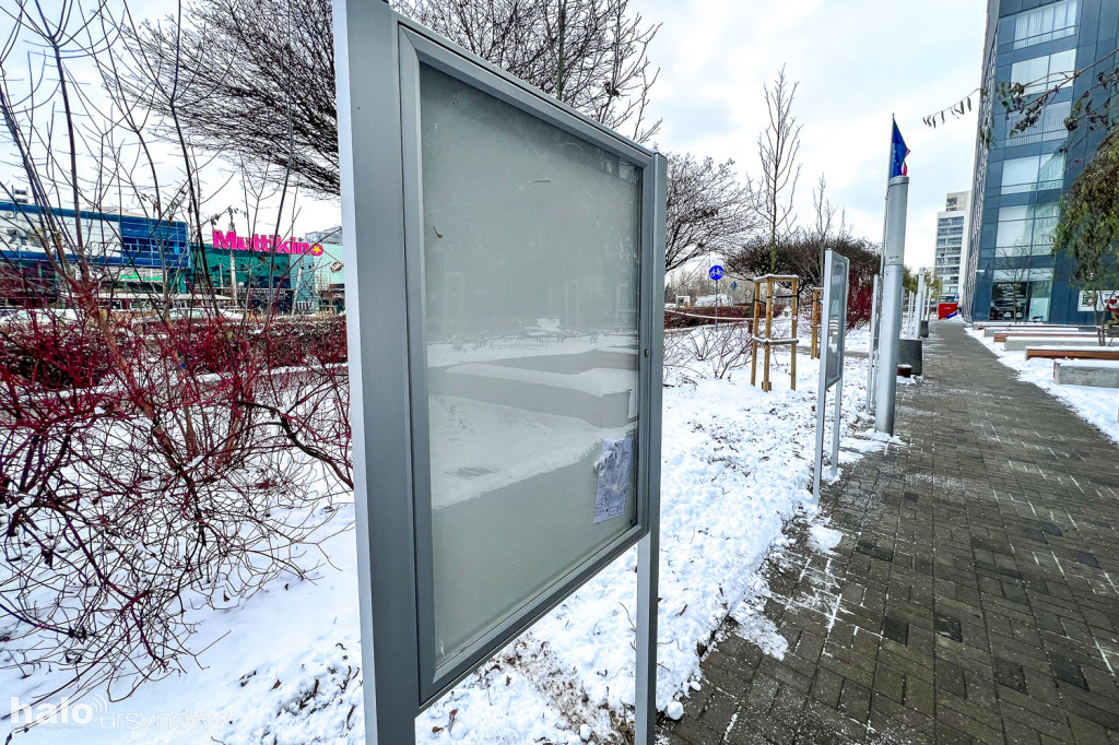Plac przy ratuszu po metamorfozie