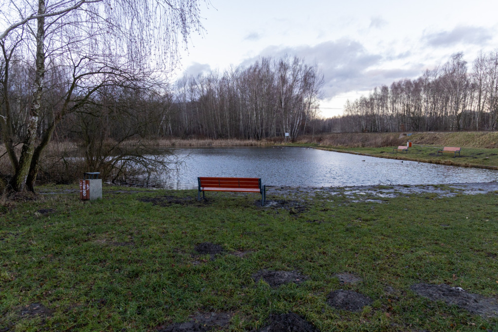 Nowe miejsce do spacerów i odpoczynku