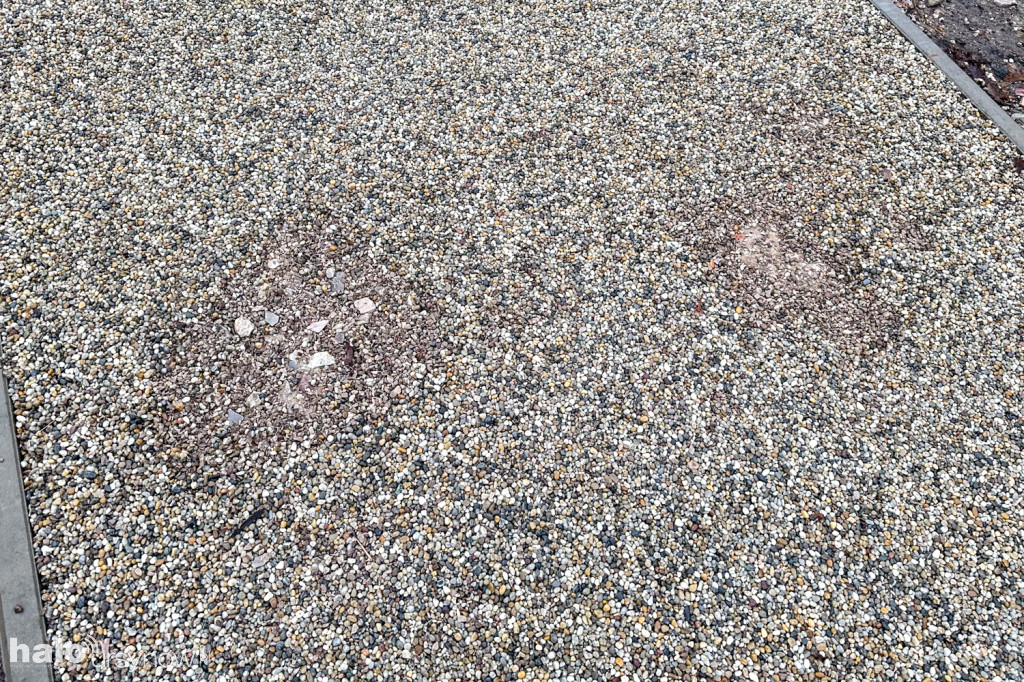 Skwer z fontanną za urzędem dzielnicy