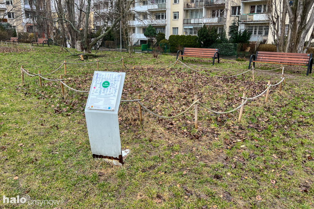 Tu będzie zmiana! Dzielnica zamawia koncepcję