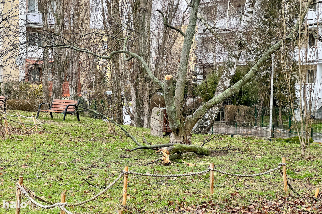 Tu będzie zmiana! Dzielnica zamawia koncepcję