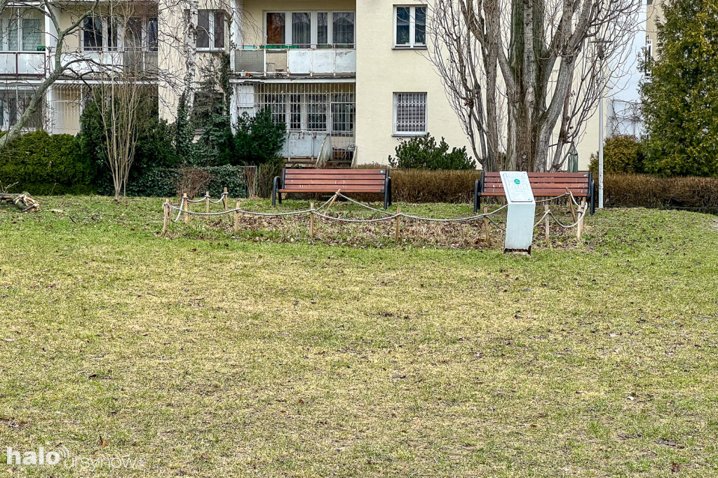 Tu będzie zmiana! Dzielnica zamawia koncepcję