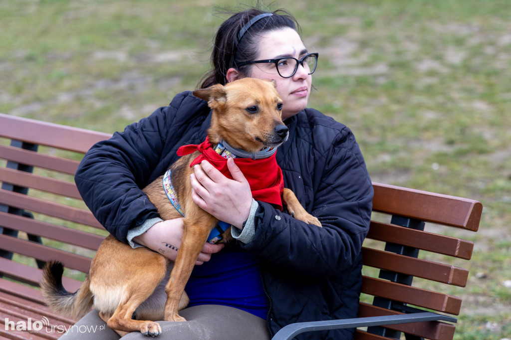 Adoptuj Warszawiaka w parku pod Kazurką