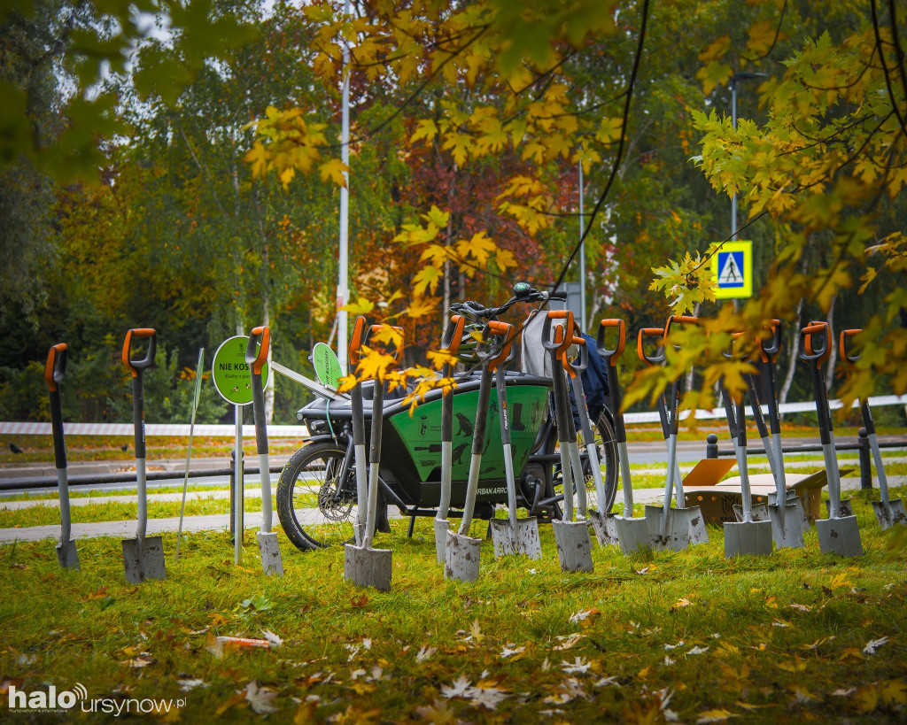 Morze tulipanów na Roentgena