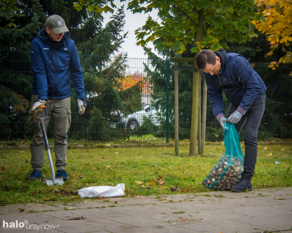 Morze tulipanów na Roentgena
