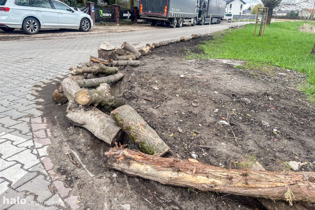 Zniszczone pobocza na ul. Pozytywki