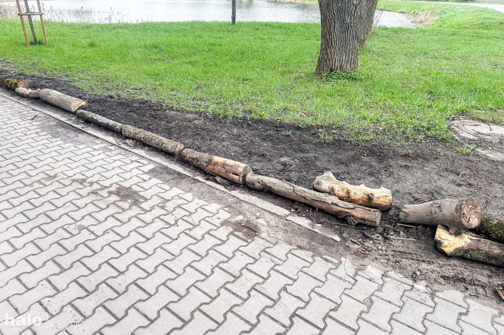 Zniszczone pobocza na ul. Pozytywki
