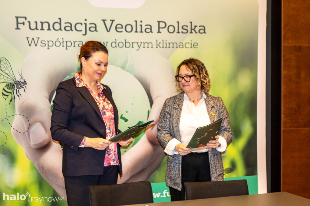 Ogród deszczowy w parku nad POW