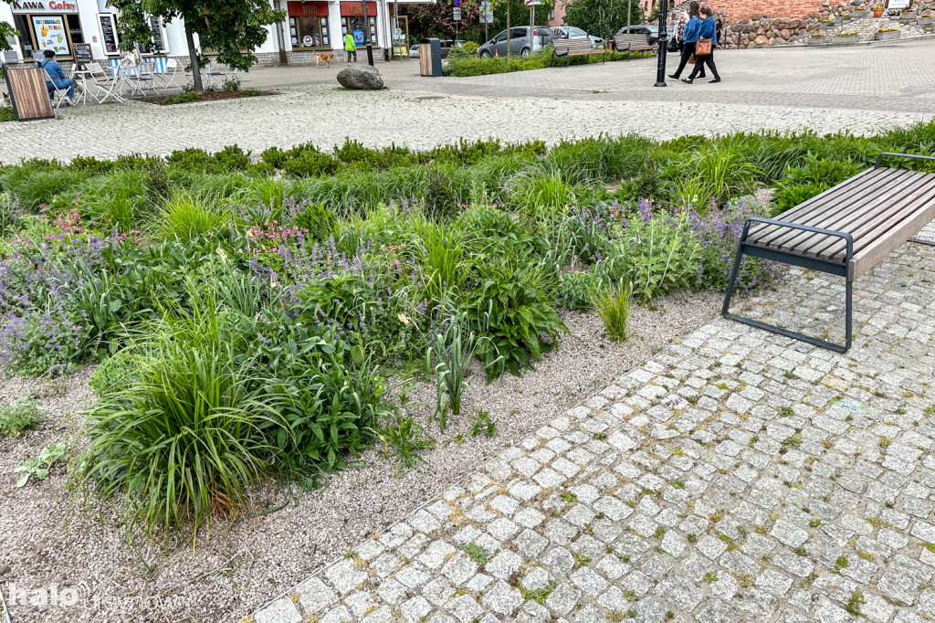 Plac z fontanną rok po modernizacji