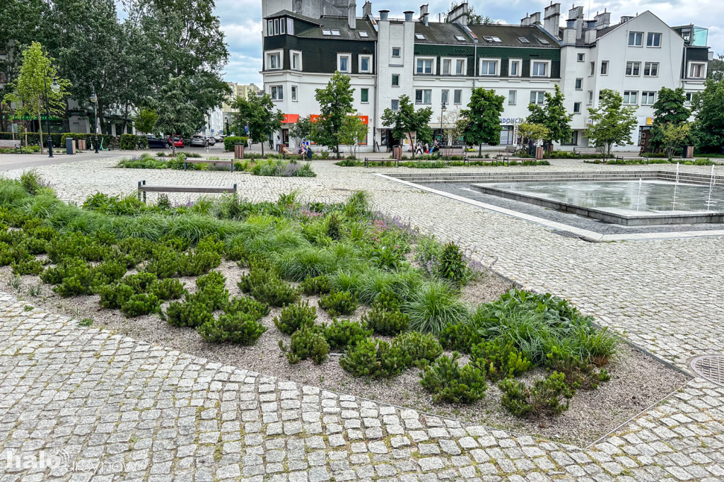 Plac z fontanną rok po modernizacji