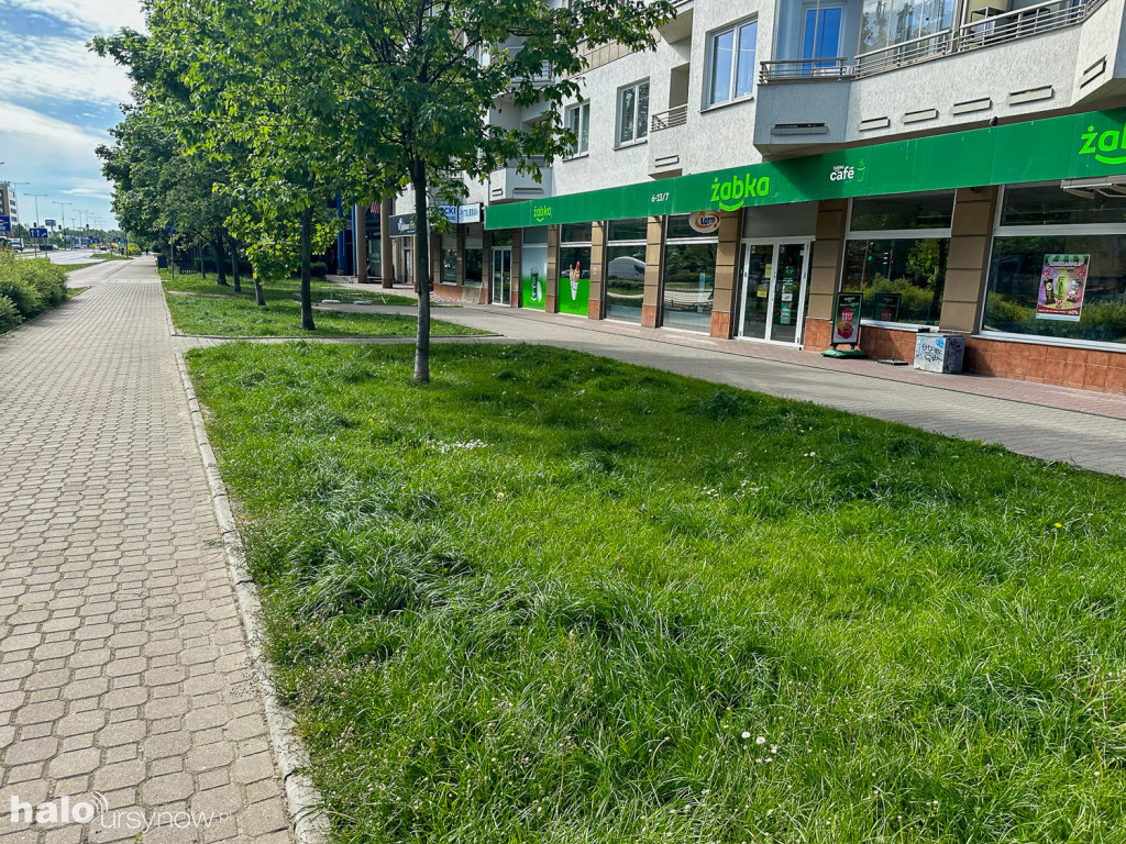 Kabaty: Zieleń ochroni rozjeżdżaną zieleń