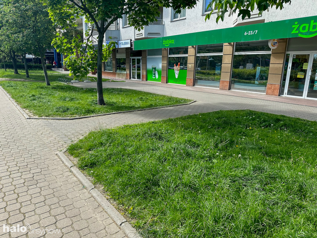 Kabaty: Zieleń ochroni rozjeżdżaną zieleń