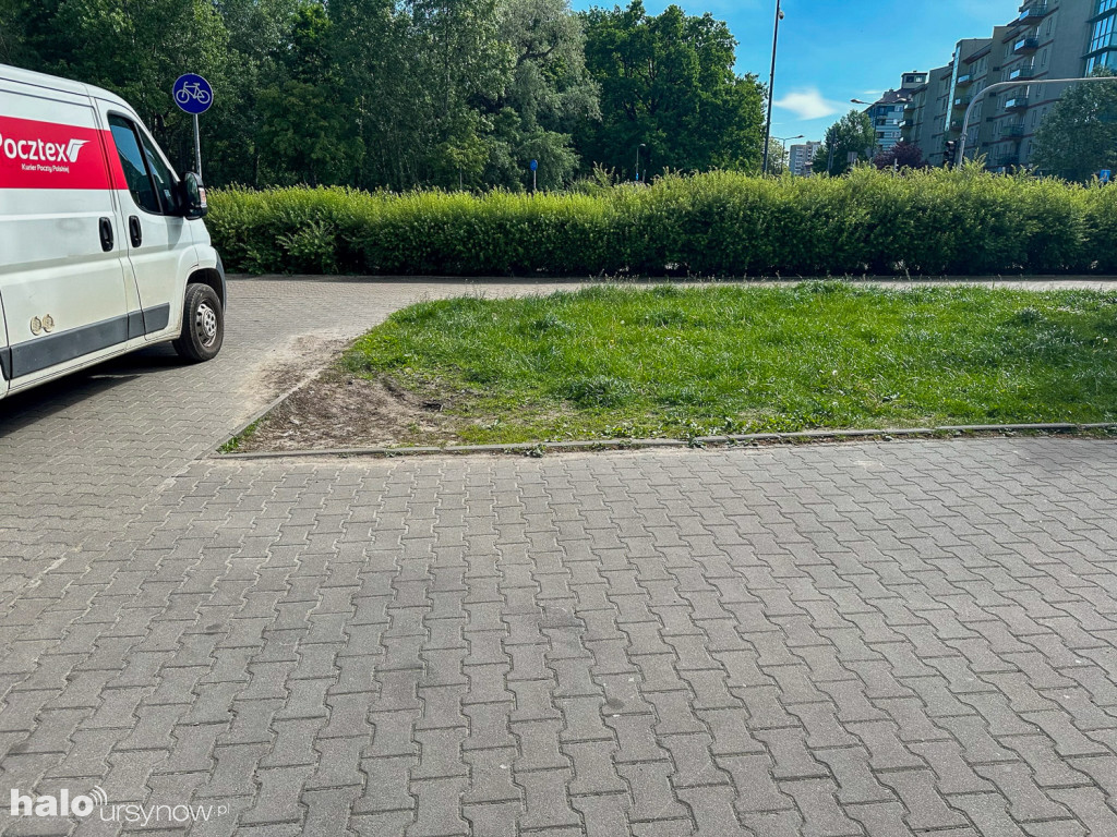 Kabaty: Zieleń ochroni rozjeżdżaną zieleń
