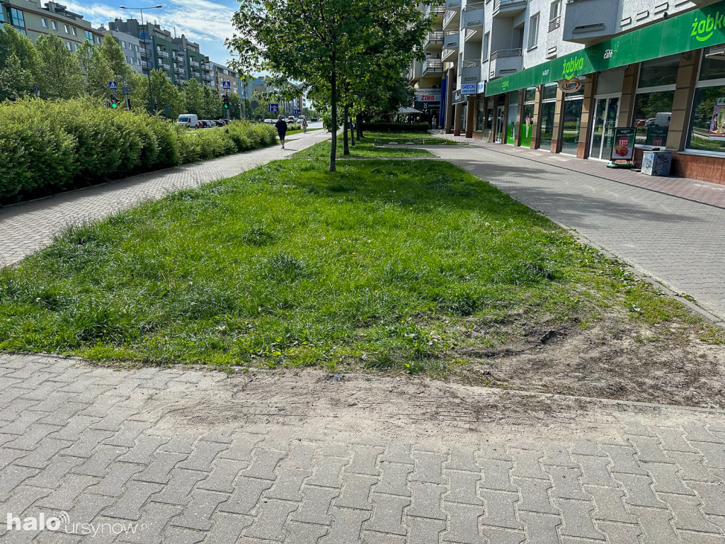 Kabaty: Zieleń ochroni rozjeżdżaną zieleń