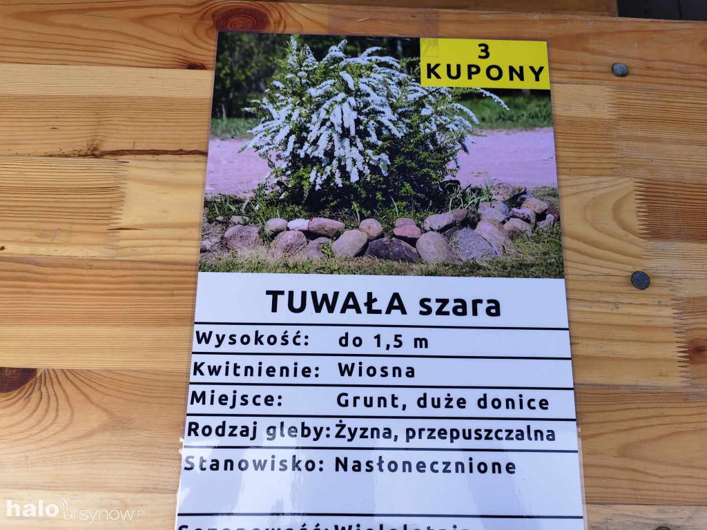 Sadzonki za surowce: Ursynowska inicjatywa ekologiczna