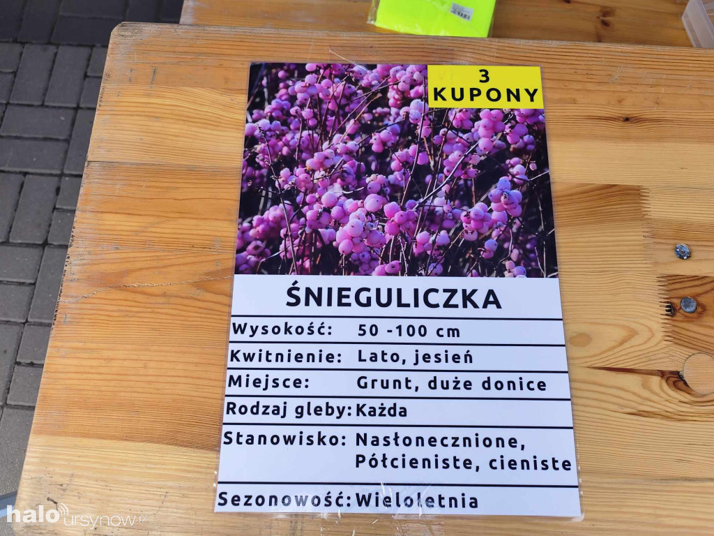Sadzonki za surowce: Ursynowska inicjatywa ekologiczna