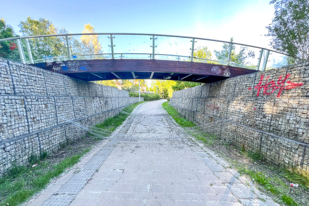 Mostek w parku Przy Bażantarni