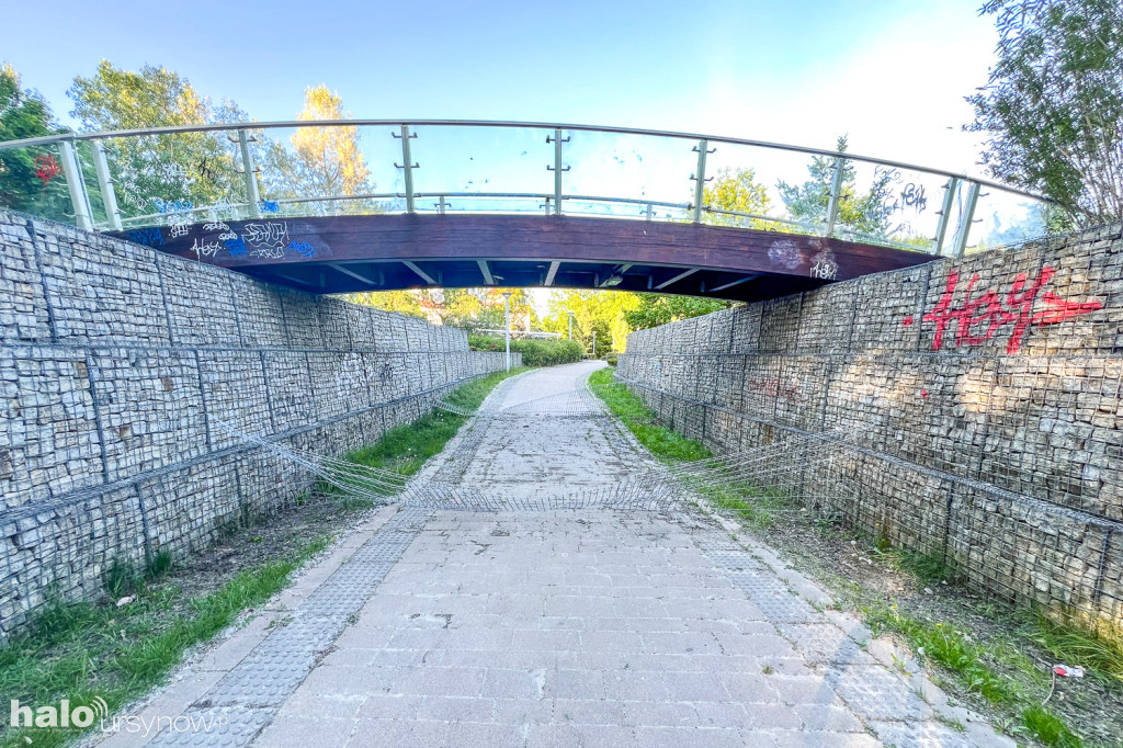 Mostek w parku Przy Bażantarni