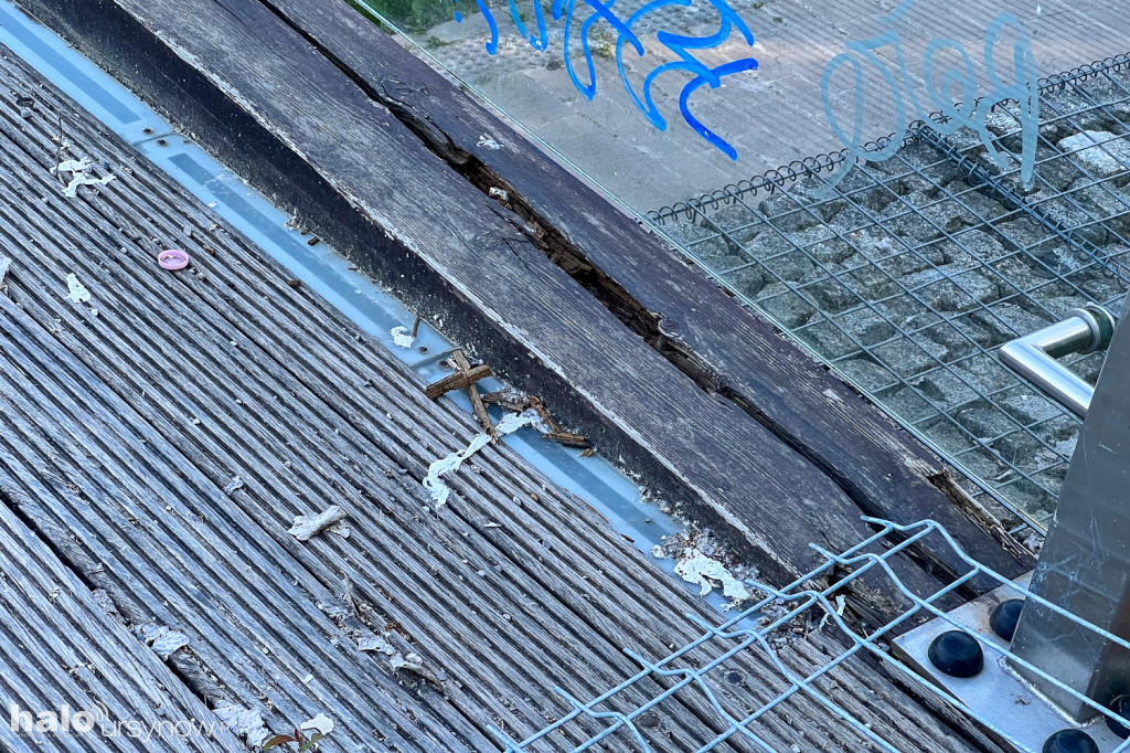 Mostek w parku Przy Bażantarni