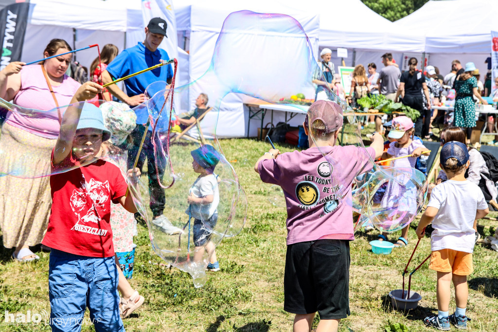 Piknik rodzinny na Olkówku!