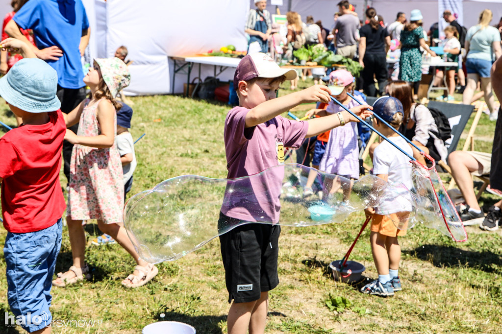 Piknik rodzinny na Olkówku!