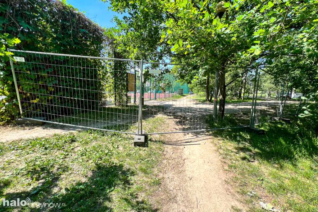 Lasek w parku Przy Bażantarni przed modernizacją