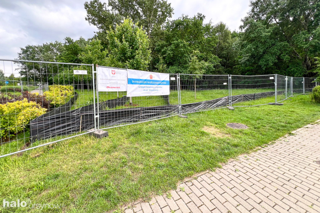 Lasek w parku Przy Bażantarni przed modernizacją