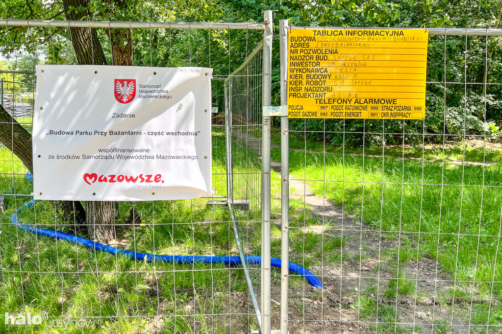 Lasek w parku Przy Bażantarni przed modernizacją