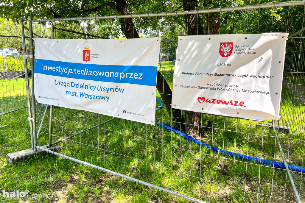 Lasek w parku Przy Bażantarni przed modernizacją