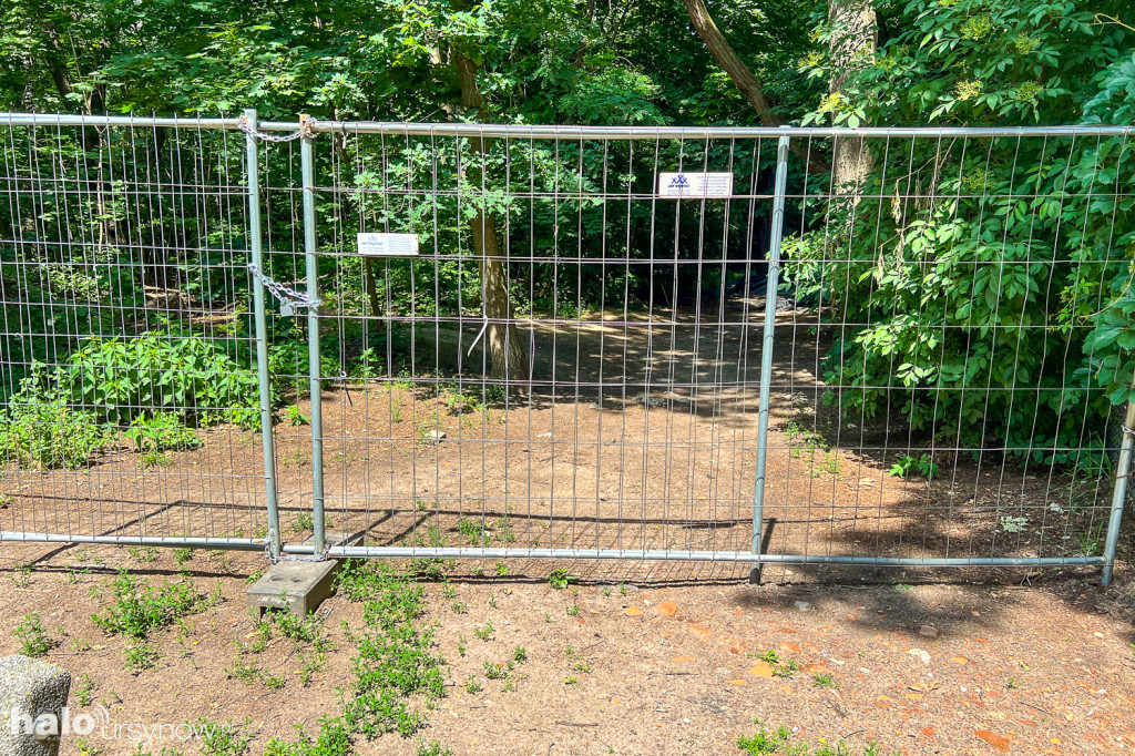 Lasek w parku Przy Bażantarni przed modernizacją