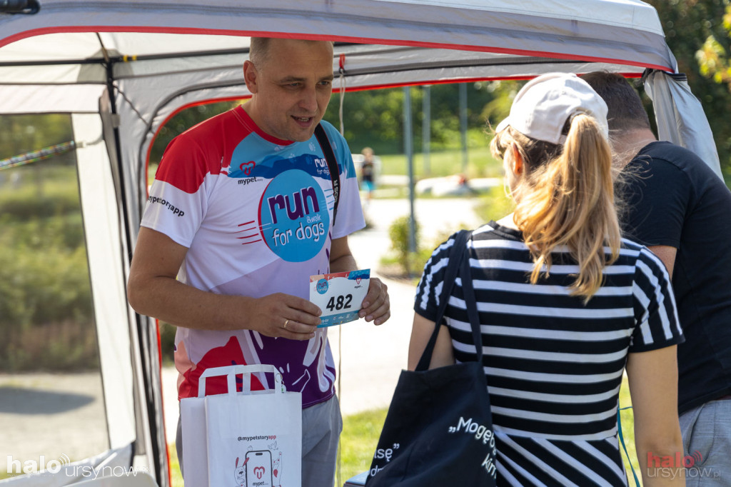 Piknik Zwierzęta w wielkim mieście