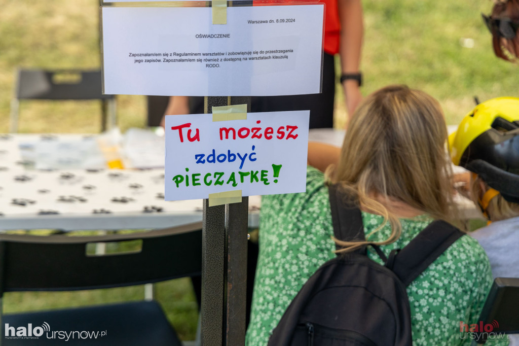 Piknik Zwierzęta w wielkim mieście