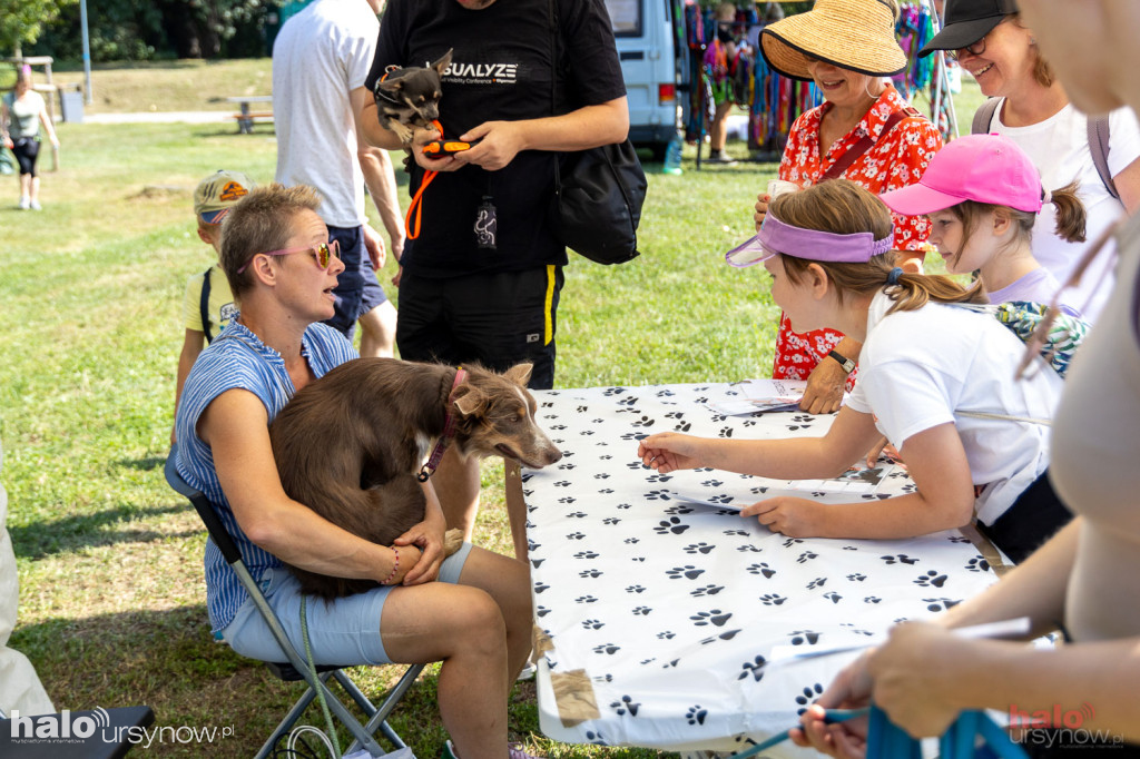 Piknik Zwierzęta w wielkim mieście