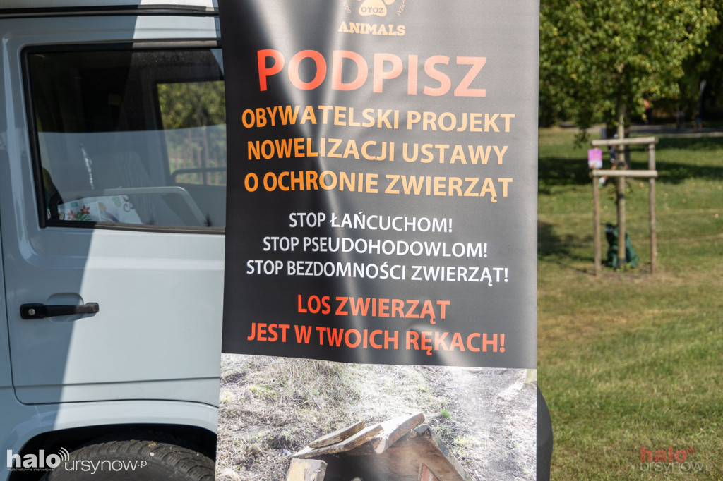 Piknik Zwierzęta w wielkim mieście