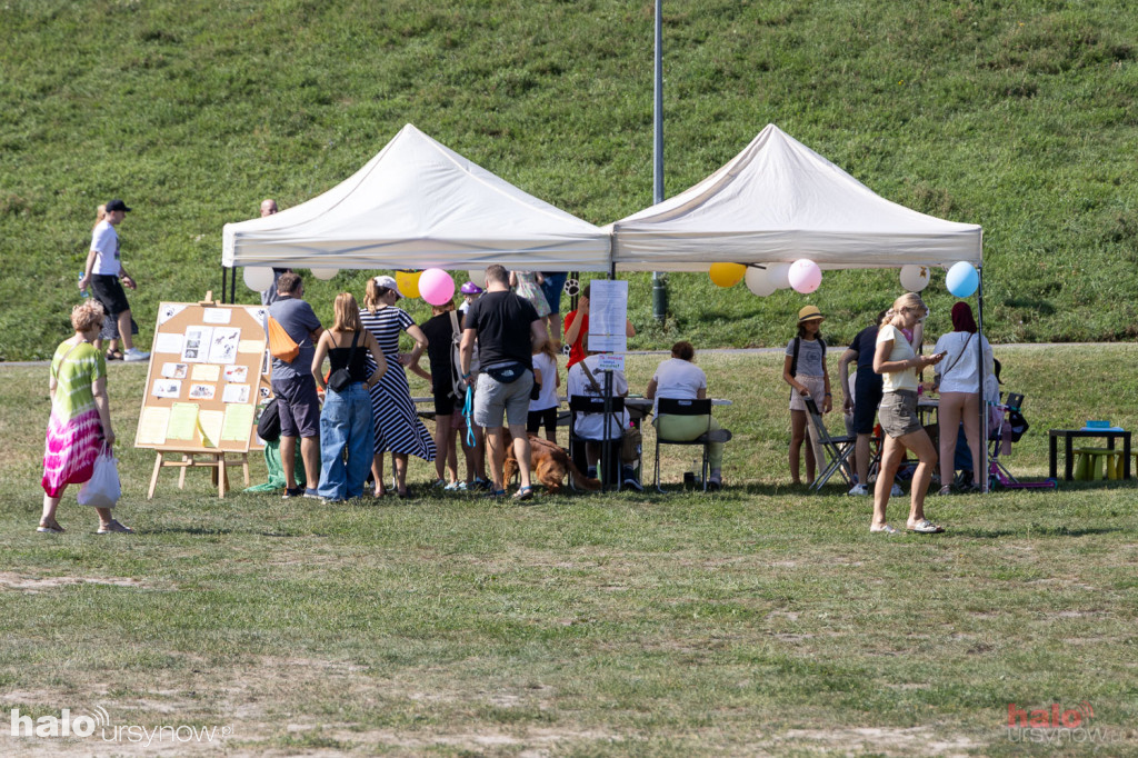 Piknik Zwierzęta w wielkim mieście