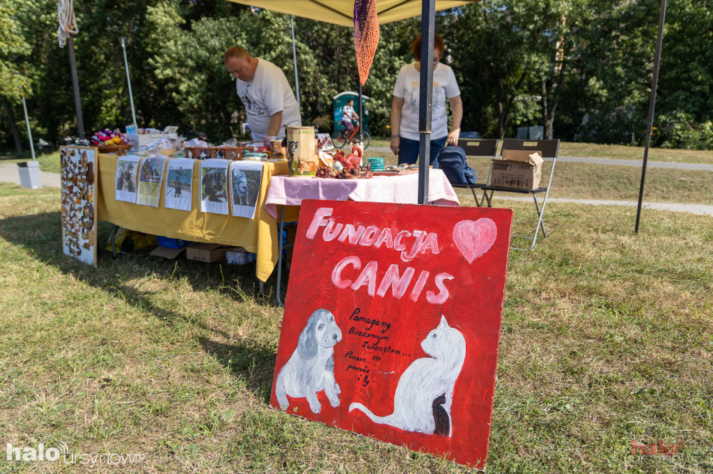 Piknik Zwierzęta w wielkim mieście