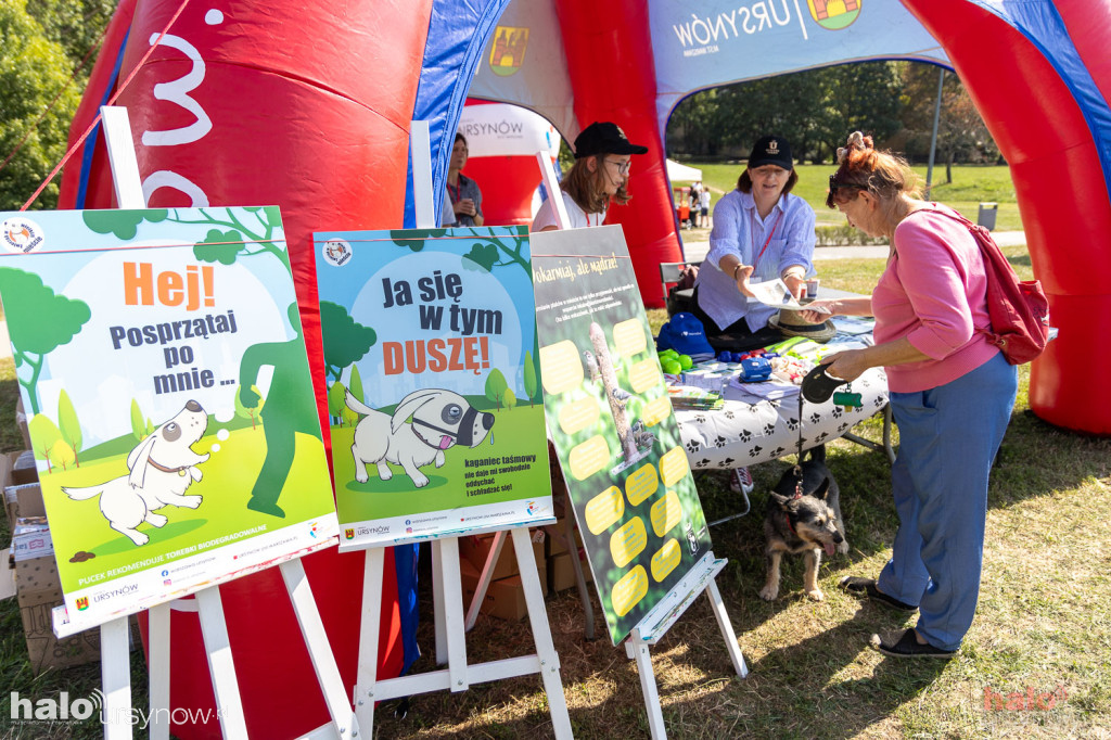 Piknik Zwierzęta w wielkim mieście