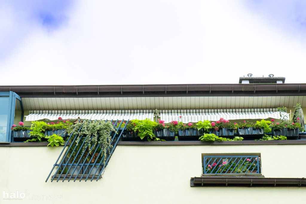 Oto najpiękniejszy balkon na Ursynowie!